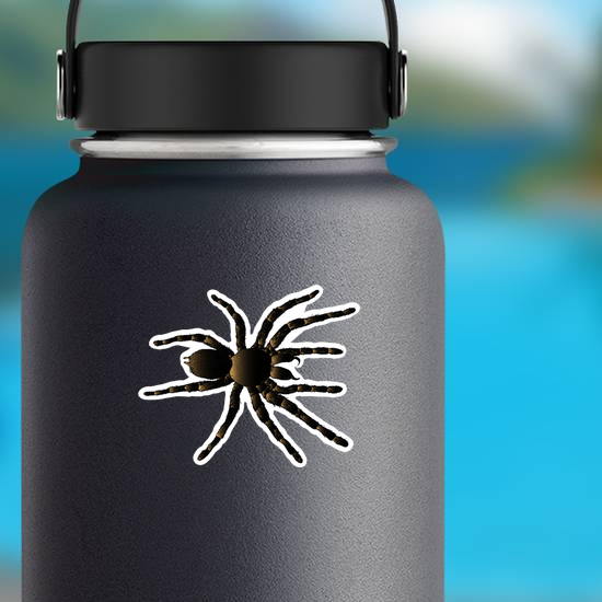 Arachnid Spider Tarantula Sticker