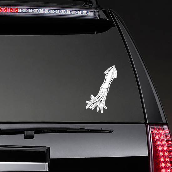 Hand Drawn Squid Sketch Sticker