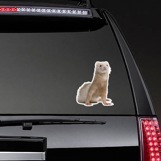 Light Colored Ferret Sitting Up Sticker
