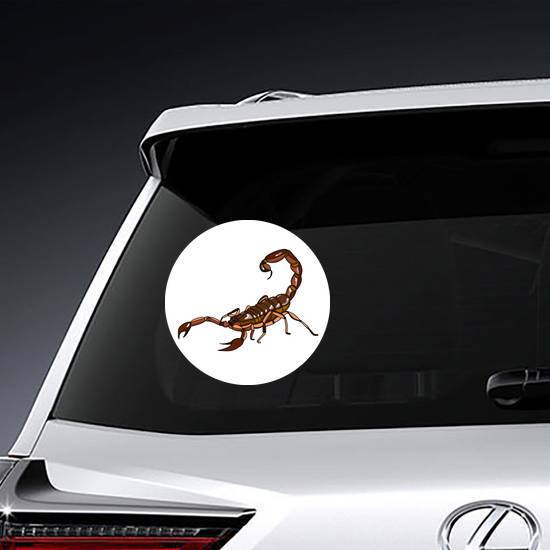 Brown Scorpion Illustration Sticker example 