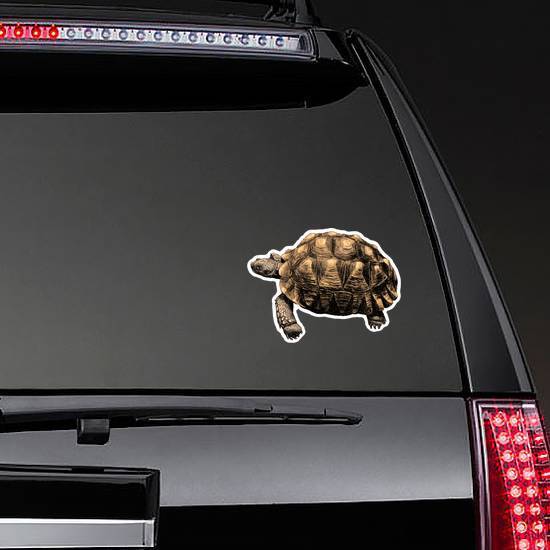 Turtle with Large Shell Sticker