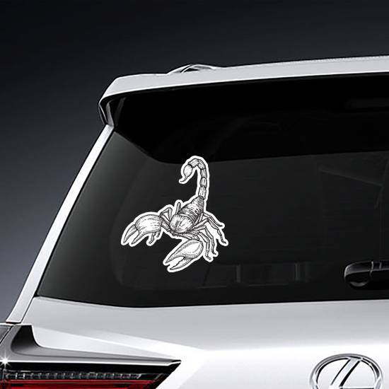 Classic Engraving Of Scorpion Sticker example