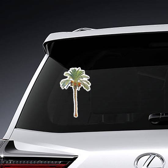 Date Palm Sticker example