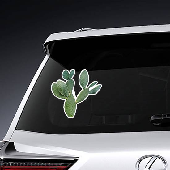 Elegant Cactus Sticker
