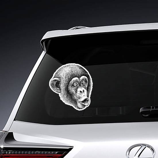 Engraved Monkey Sticker