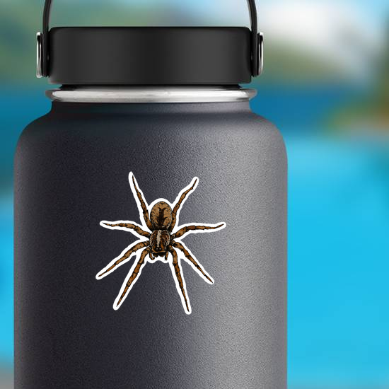Hand Drawn Spider Illustration Sticker