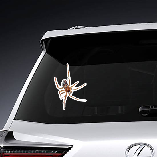 Hanging Spider Sticker