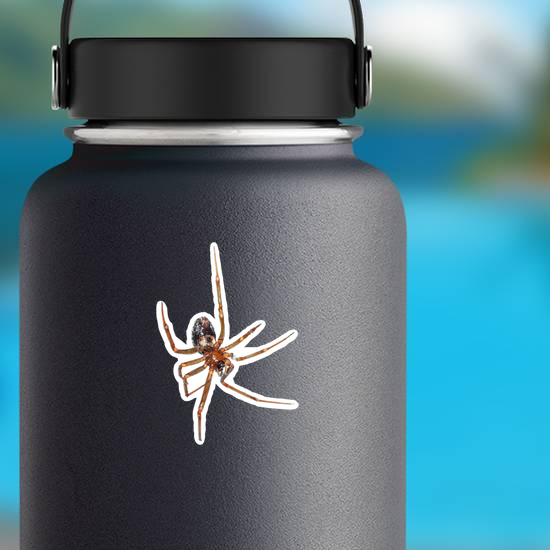 Hanging Spider Sticker