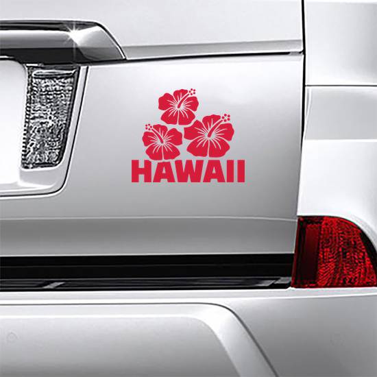 Hawaii With Hibiscus Flowers Sticker