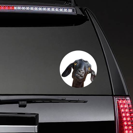 Head Of Funny Silly Looking Black Goat Sticker