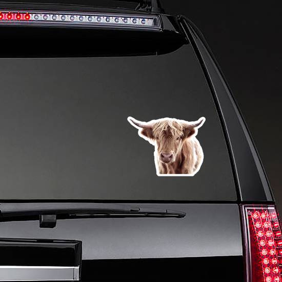 Highland Cow Brown Sticker