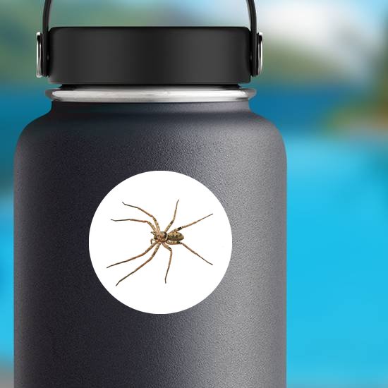Huntsman Spider Sticker