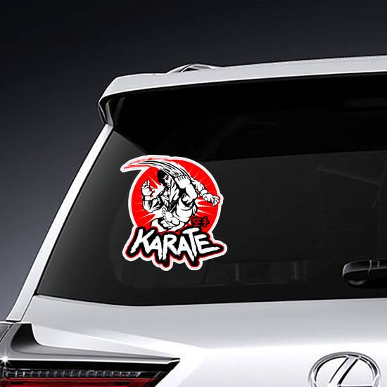Martial Arts, Karate Powerful Male Fighter Sticker