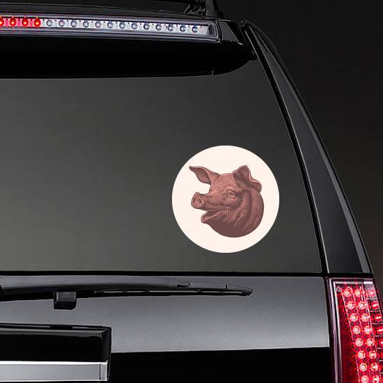 Pork Head. Hand Drawn Engraving Sticker