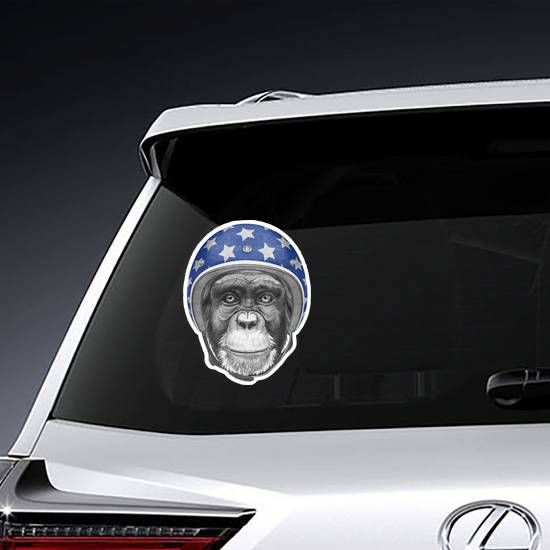 Portrait Of Monkey With Helmet Sticker