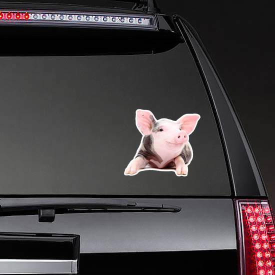 Portrait Of The Funny Little Pig Sticker