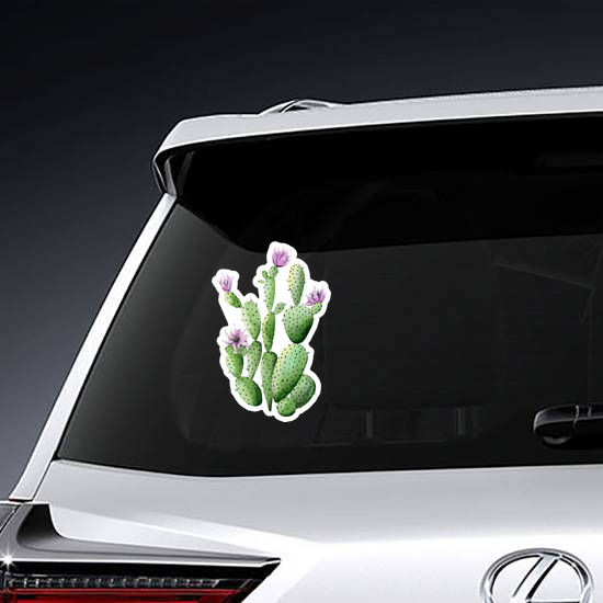 Purple Flowering Cactus Sticker