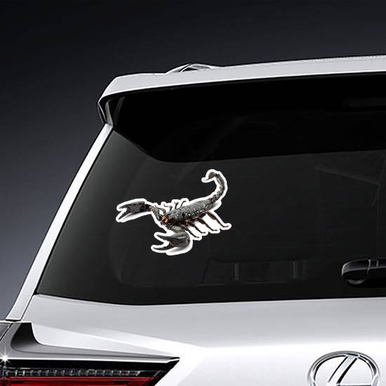 Real Black Scorpion Sticker example 