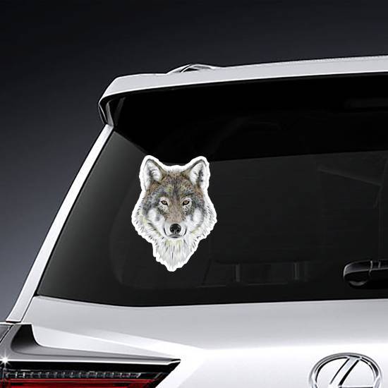Realistic Wolf Sticker
