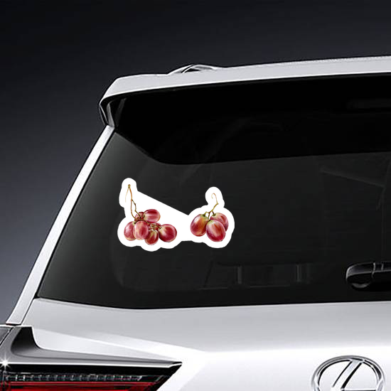 Red Grapes Sticker