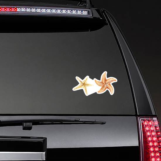Set Of Hand Painted Watercolor Starfishes Sticker example