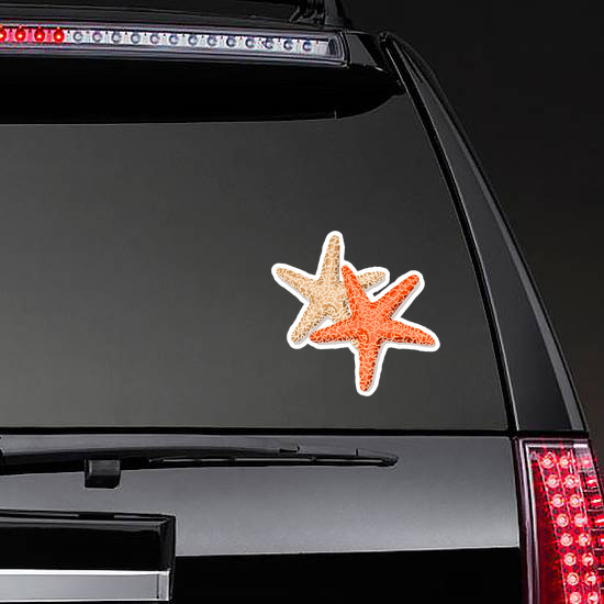 starfish Friends Isolated On White Sticker