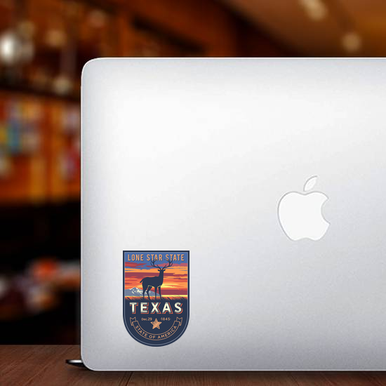 Texas Banner Sticker