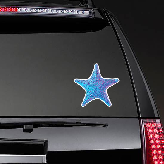 Trendy Gradient Starfish Isolated Sticker