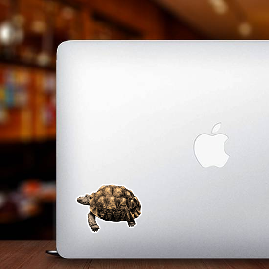 Turtle with Large Shell Sticker