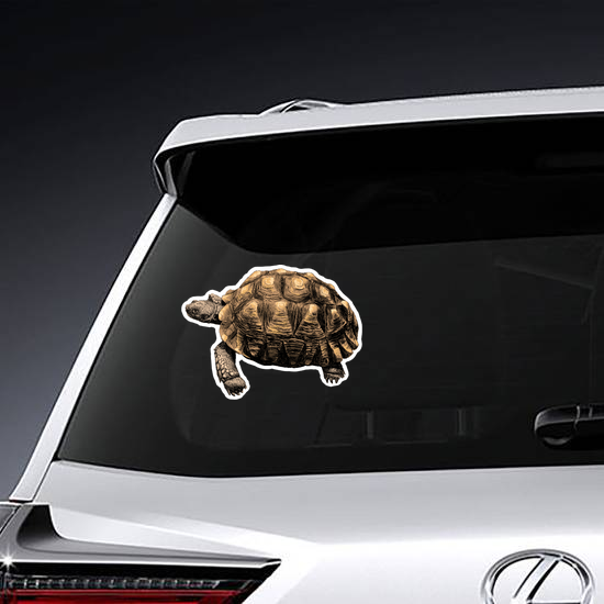 Turtle with Large Shell Sticker