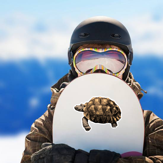 Turtle with Large Shell Sticker