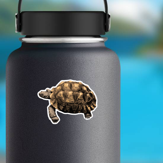 Turtle with Large Shell Sticker
