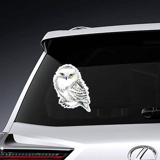 Watercolor Snowy Owl Sticker