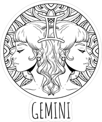 Gemini Artwork Sticker