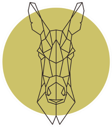 Geometric Head Of Donkey Illustration Sticker