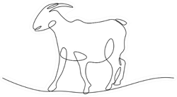 Goat In Continuous Line Art Drawing Sticker
