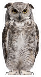 Great Horned Owl Sticker