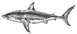 Great White Shark Hand Drawn Sticker