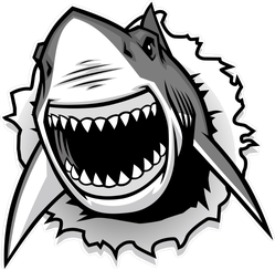 Great White Shark Ripping Threw Sticker