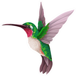 Green Hummingbird Isolated Illustration Sticker