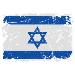 Grunge Flag Of Israel Sticker