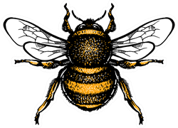 Hand Drawn Bumblebee Sticker