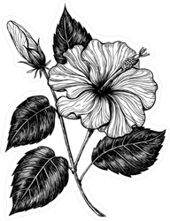 Hand Drawn Hibiscus Flower Sticker