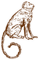 Hand Drawn Monkey Sketch Sticker