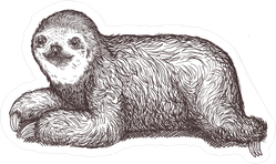 Hand Drawn Sloth Sticker