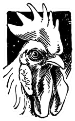 Handsome Rooster Chicken- Retro Illustration Sticker