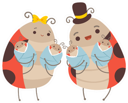 Happy Ladybug Family Four Newborn Babies Sticker