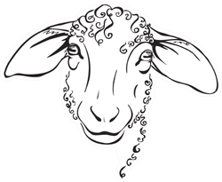 Head Sheep, Stylized Black And White Sticker