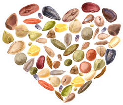 Heart Shaped Seeds Sticker