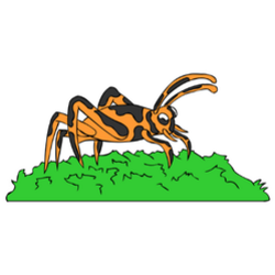 Here Is Light Orange Grasshopper Standing On The Grass Sticker